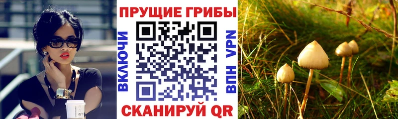 Псилоцибиновые грибы ЛСД  Радужный 